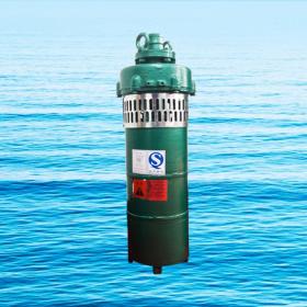 QS小型潛水電泵、QST660V特種電泵