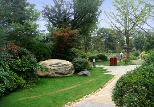 施工現(xiàn)場實拍 #園林綠化工程 #工地實景拍攝 一壺老酒入.