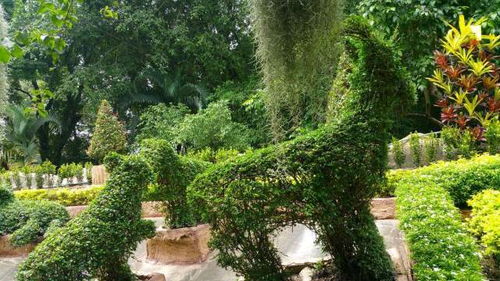 2018園林景觀綠化工程公司路在何方