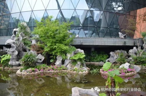 2016年度杭州市優(yōu)秀園林綠化工程綜合組金獎 杭州國際博覽中心項目屋面園林綠化工程