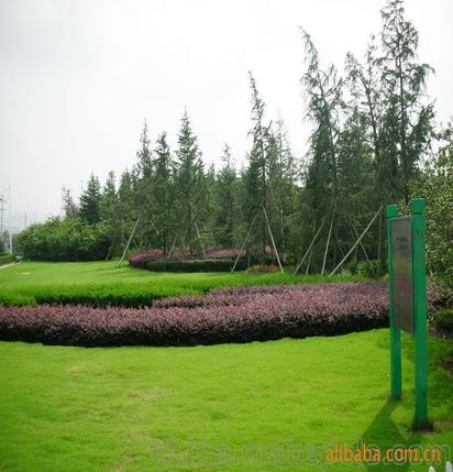 承攬綠化工程、園林施工、園林綠化工程養(yǎng)護(hù)