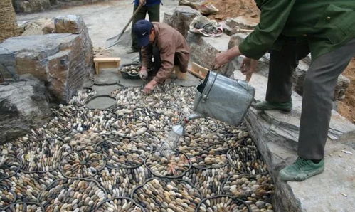 行業(yè)技術(shù)丨園林綠化施工現(xiàn)場如何管理 關(guān)鍵環(huán)節(jié)都在這里