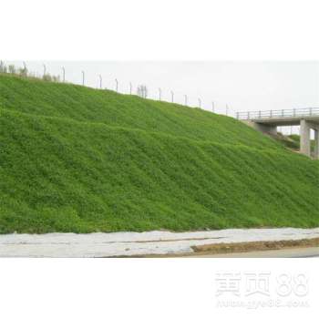 【自己的噴播設(shè)備,多年的綠化邊坡經(jīng)驗,承接邊坡綠化施工】- 